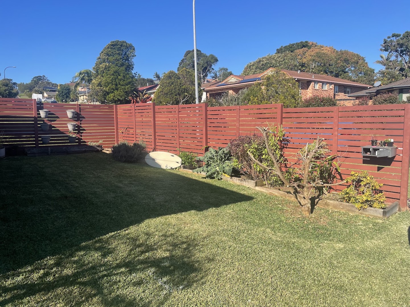 A cut back lawn against a red-stained timber fence and a shaped garden border