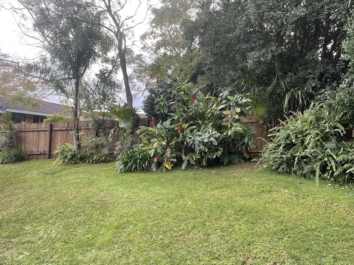 A cut back lawn beside a deep garden bed of subtropical foliage