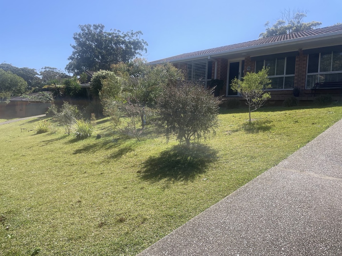 A cut lawn running down to a concrete footpath with young trees along it