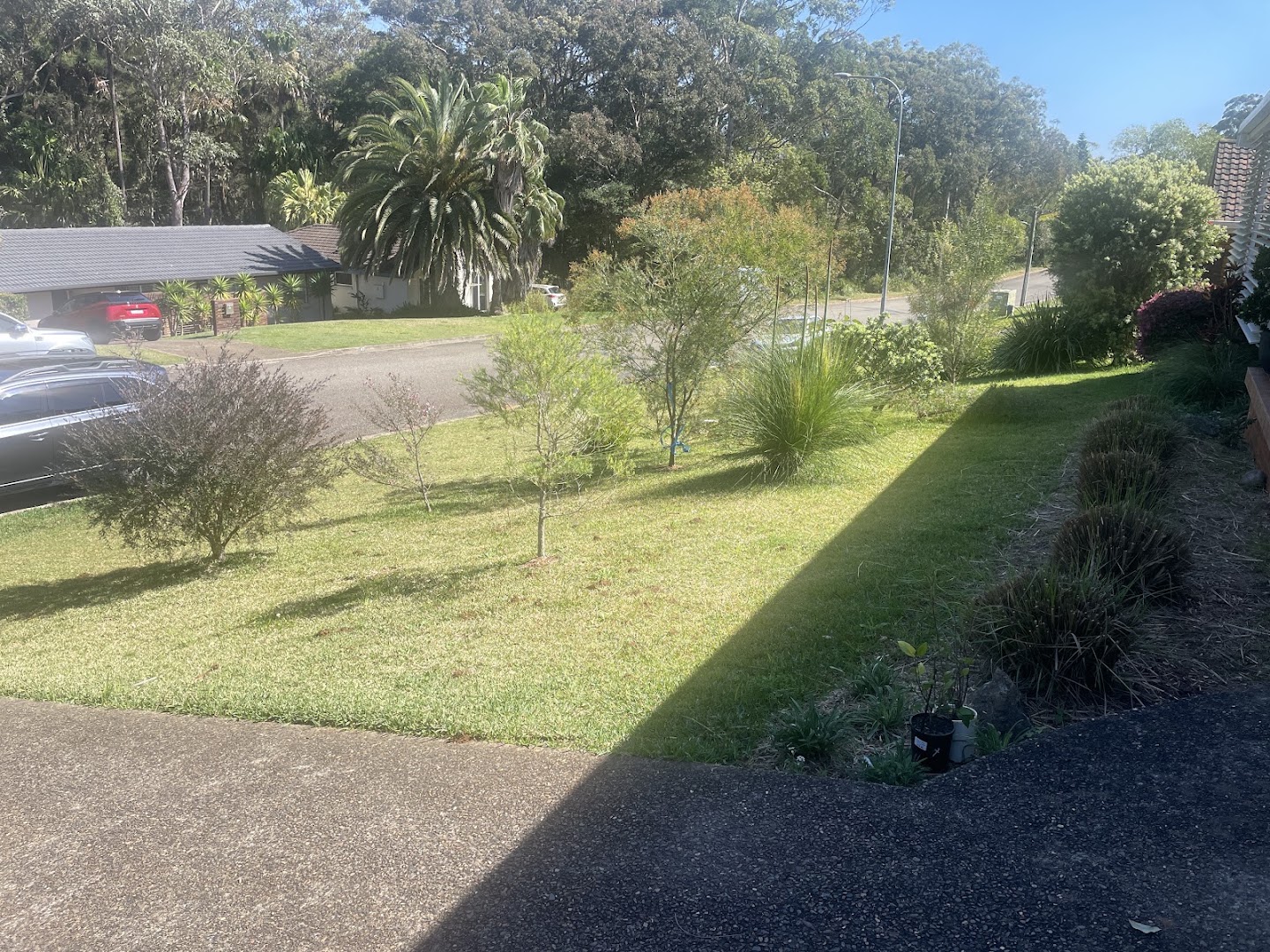 A wide cut nature strip and lawn running along a quiet suburban street