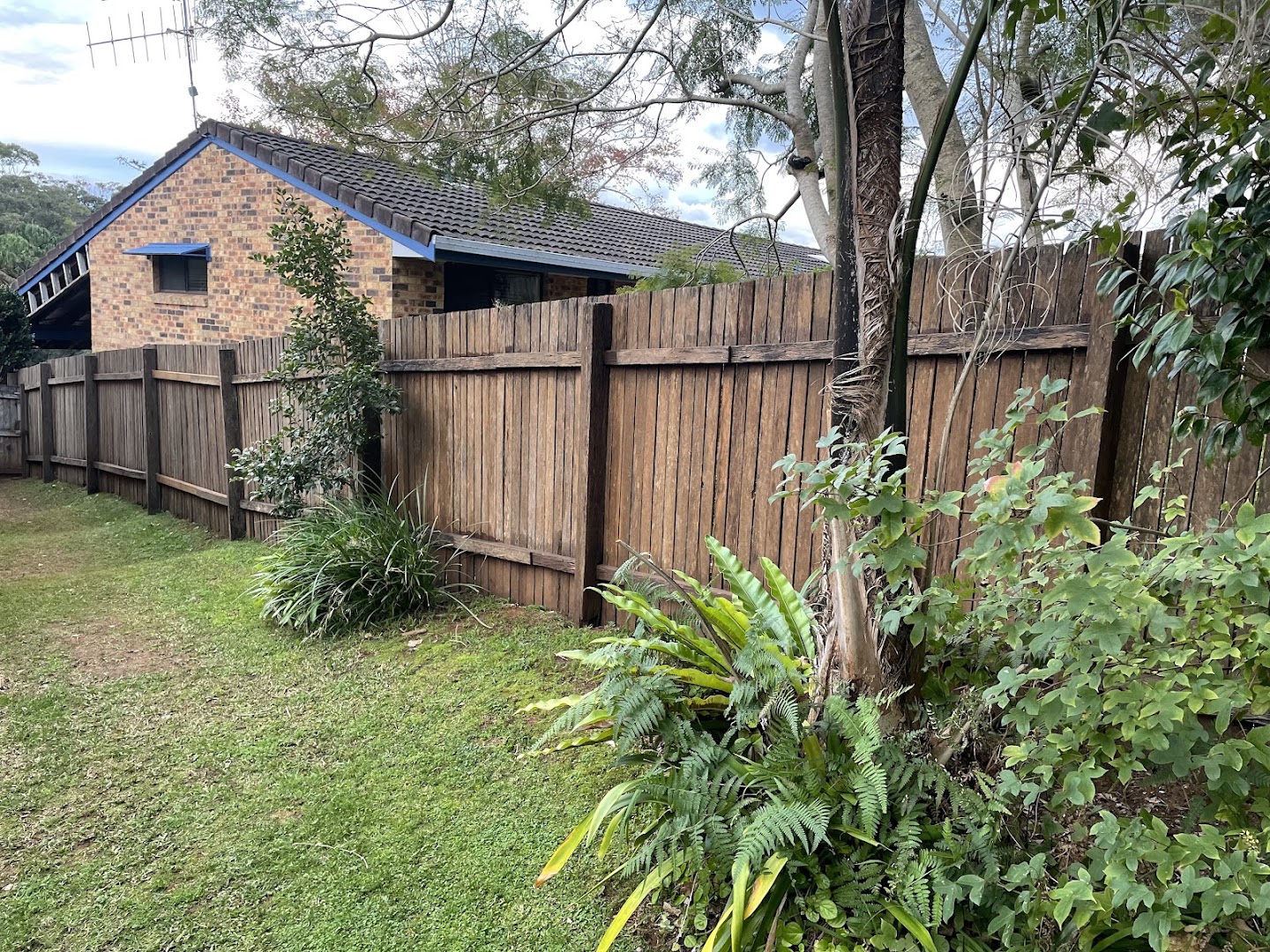 A brick home behind a timber paling fence with a cut lawn and subtropical planting