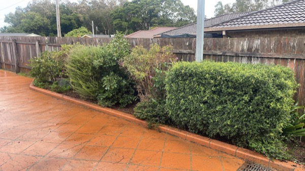 A shaped hedge line running the length of a red-stained concrete driveway