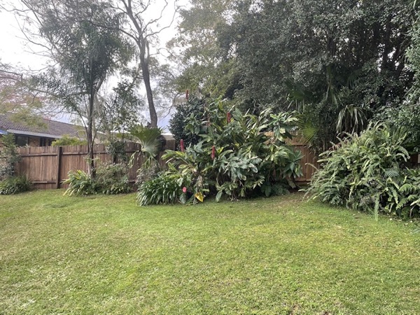 A cut back lawn beside a deep garden bed of subtropical foliage