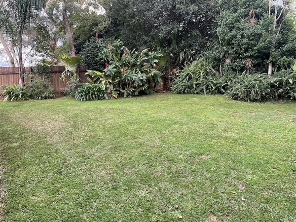 A wide back lawn cut short in front of a deep green garden border